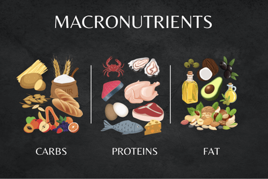 macronutrients
